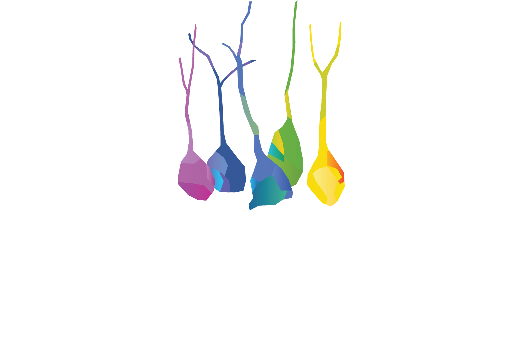 Convergence Initiative Logo