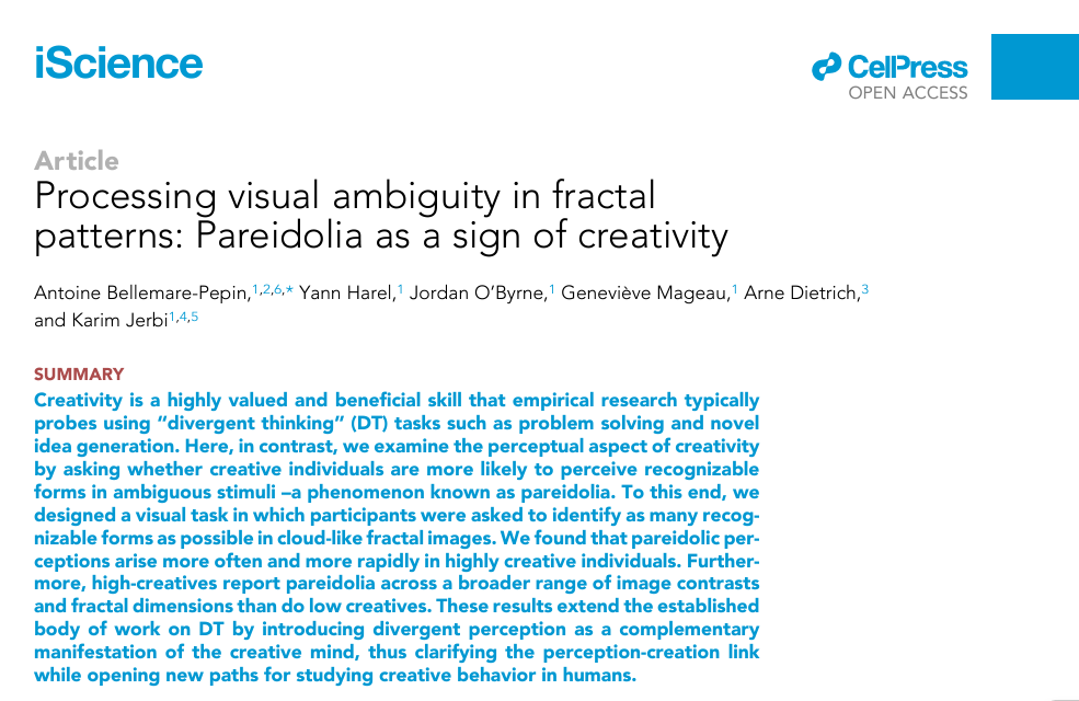Pareidolia First Page